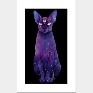 Galaxy Sphinx Posters and Art